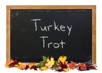 Wall Mural - turkey trot written in white chalk on a black chalkboard decorated with autumn fall leaves isolated 