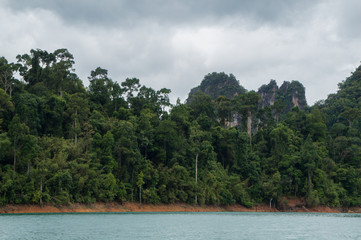 Lush jungle inside Khao Sok National Park