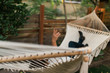 © Chelsea Victoria/Stocksy - A woman laying in a hammock