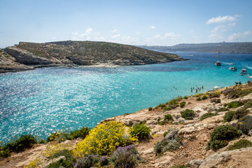 Wall Mural - The Blue Lagoon in Comino Island - Gozo, Malta