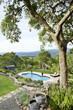 © Trinette Reed/Stocksy - Swimming pool in backyard of home in Sonoma, California
