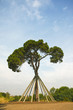 © BONNINSTUDIO/Stocksy - Propped up tree Old pine