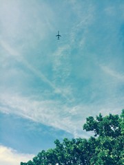 Plane flying high in the sky