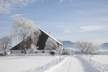 Snowy Street In Winter Landscape In Austria