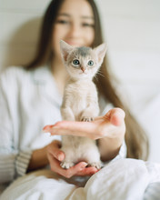 A Person Showing A Kitten