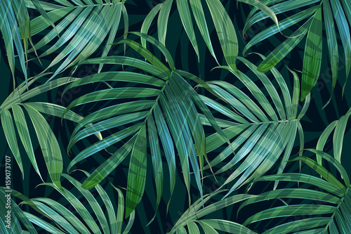 Materiał do szycia Wektor palm liść paproci lub palmy. Tropikalne liście wzór. Banana leaf tła. Na białym tle egzotycznych projekt. Hawajski wydruku. Rośliny dżungli. Ilustracja lato.
