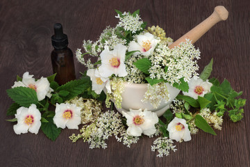 Canvas Print - Medicinal flower and herb selection of orange blossom, ladies mantle, meadowsweet, queen annes lace, mint and angelica seed heads used in natural herbal medicine.