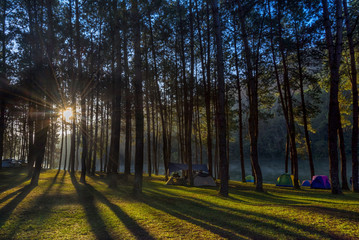 Beautiful morning in forest with camping in Pang Ung, Mae Hong Son province the North of Thailand.