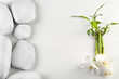 Spa stones with orchid flowers and bamboo stem on white background