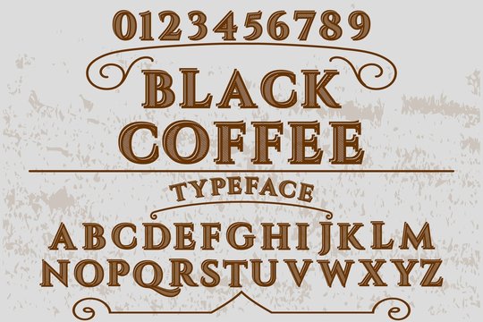 font.script.typeface vector
