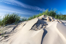 White Sand Dunes With Green Plant Growth And Blue Sky.