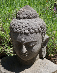 Buddha Head