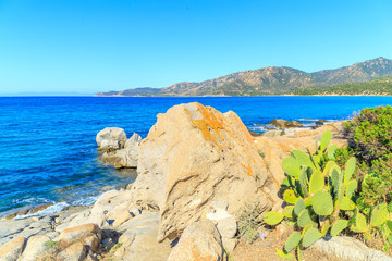 Wall Mural - View of a Punta Molentis beach, Sardinia