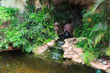 Small Waterfall In Decorative Pond