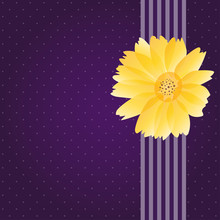 Western Purple Greeting Card Template, Chrysanthemum
