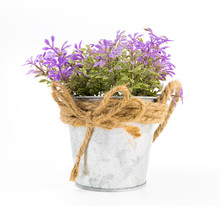 Purple Flower In Silver Metal Bucket Isolated On White