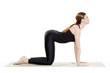 © rilueda - Yoga Cow Pose - Bitilasana