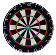 Target dartboard isolate on white background