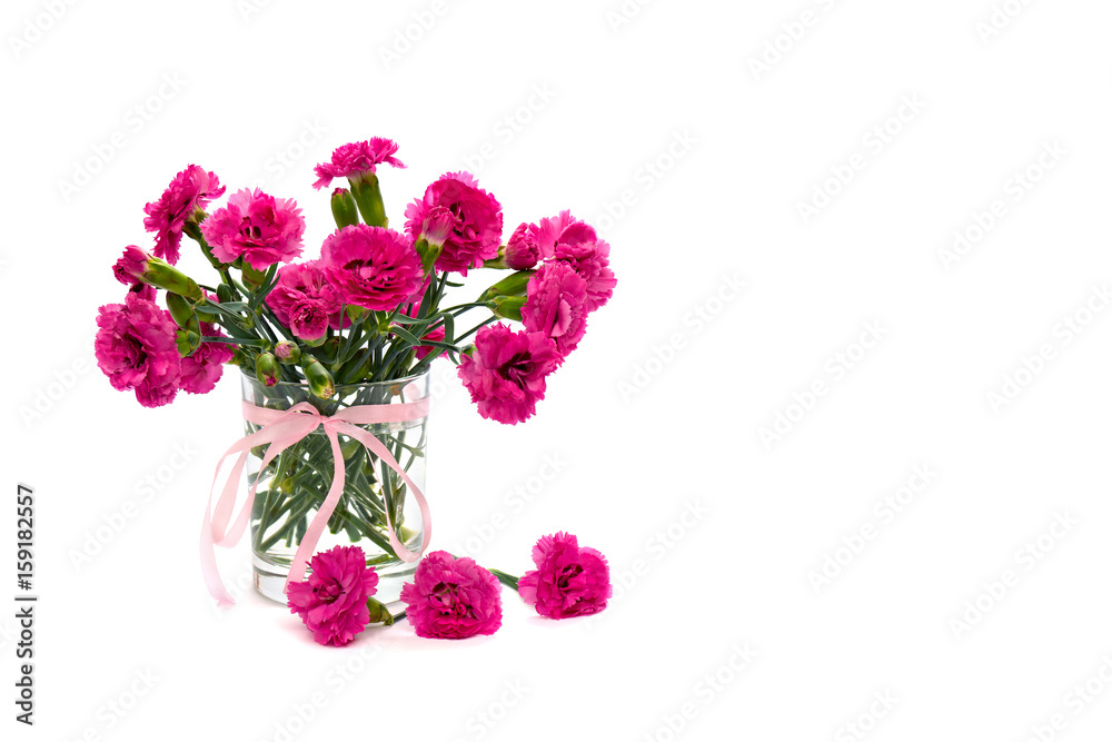 Bouquet of pink carnations (Dianthus caryophyllus) in small vase on white background with space for text - obrazy, fototapety, plakaty 
