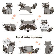 collection isolated funny raccoon. emotion little raccoon. vector set cute raccoon.