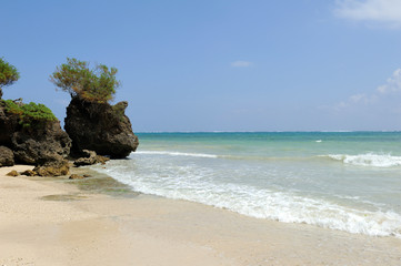 Wall Mural - Beach and tropical ocean