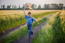 Boy Playing With Colorful Kite On Wheat Field