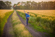 Boy With Colorful Kite On Wheat Field