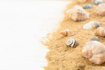 Wall Mural - Seashells on sand over white wooden table