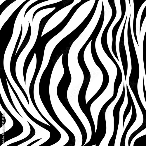 Obraz Dibond Zebra czarno-białe paski wzór. ilustracji wektorowych na białym tle. Tekstura wydruku skóry zwierząt.