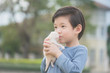 © lalalululala - Cute Asian boy  holding a kitten