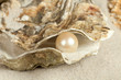 canvas print picture - Pearl in oyster