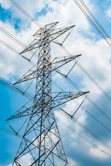 Electrical net of poles on blue sky and green rice field.