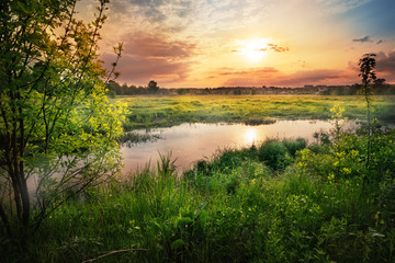 Wall Mural - sunset on the river with green grass and trees on the shore