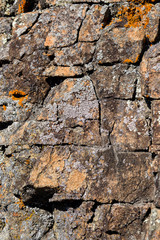 Poster - beautiful brown grey stones, rocks, green, orange, moss, closeup, summer, nature, forest