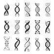 Double DNA helix vector icons