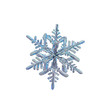 Snowflake isolated on white background. Macro photo of real snow crystal with fine hexagonal symmetry, glossy relief surface, elegant arms with side branches. Snowflake photo taken in cold blue light.