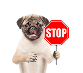 Poster - Puppy with the 