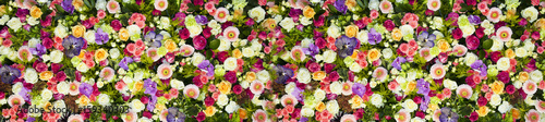 fondo de flore de colores