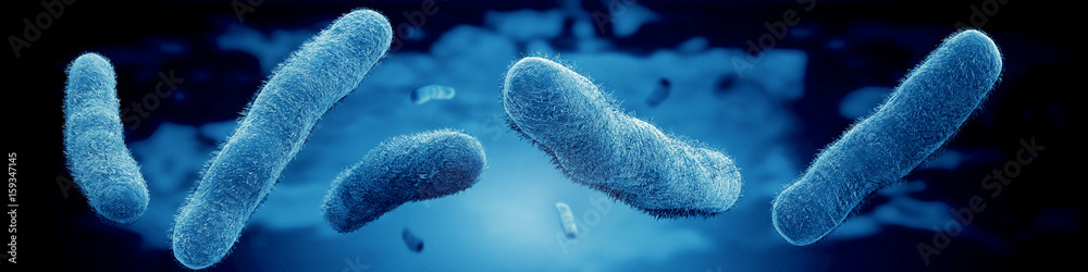 microscopic view of vibrio vulnificus bacteria - obrazy, fototapety, plakaty 