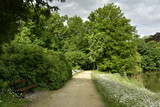 Fototapeta Dziecięca - Chemin longeant l'étang principal au milieu de la nature luxuriante du Jardin Botanique National de Belgique à Meise