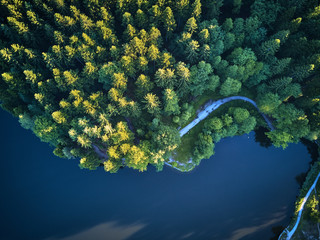 Wall Mural - Top View of a small lake and green trees around with a small path or street