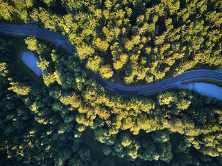 Wall Mural - Top view of the path through the trees. View from balloon. Road view from above taken by quadrocopter