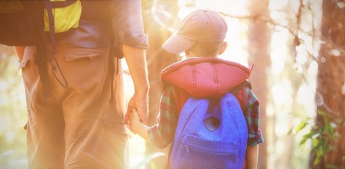 Rear view of boy holding hands with father in forest