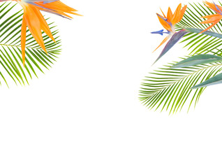 Wall Mural - tropical flowers and leaves - resh strelizia bird of paradize flowers and exotic palm leaves isolated on white background