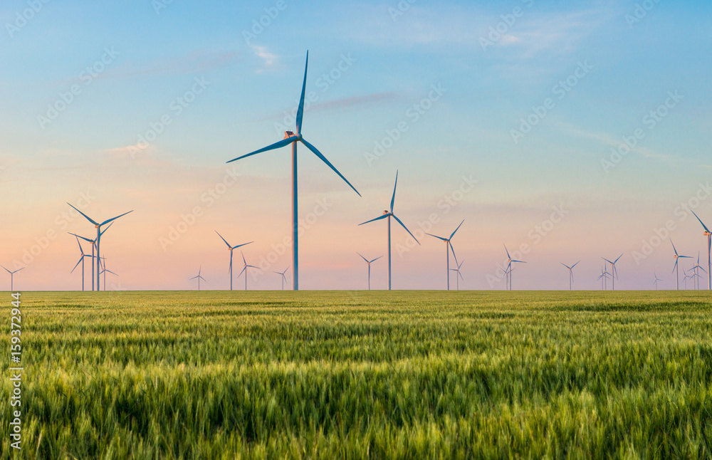 Group of windmills for electric power production in the green field of wheat - obrazy, fototapety, plakaty 