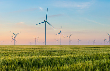 group of windmills for electric power production in the green field of wheat