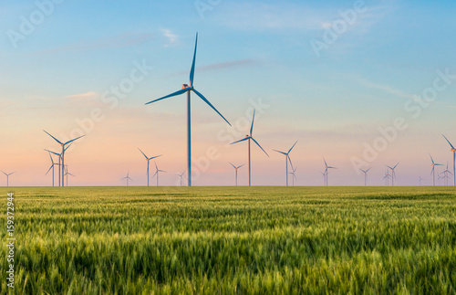 Fotografía Group of windmills for electric power production in the green field of wheat