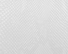 Snake Skin Texture In White Color, Modern Bright White Background.