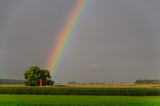 Fototapeta Tęcza - Rainbow