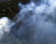 © mscornelius - Aerial of smoke in forest